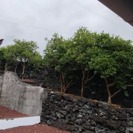 Aldeia Da Gingeira * Sao Mateus (Pico island)